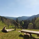Rez-de-chaussee Dans Vielle Ferme Au Coeur Des Vosges Lejlighed Plainfaing