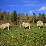 Rez-de-chaussee Dans Vielle Ferme Au Coeur Des Vosges Plainfaing