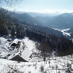 Rez-de-chaussee Dans Vielle Ferme Au Coeur Des Vosges