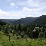 Rez-de-chaussee Dans Vielle Ferme Au Coeur Des Vosges Lejlighed