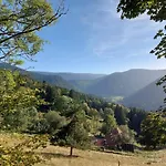 Rez-de-chaussee Dans Vielle Ferme Au Coeur Des Vosges Lejlighed Plainfaing