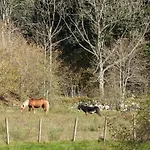 Rez-de-chaussee Dans Vielle Ferme Au Coeur Des Vosges Plainfaing