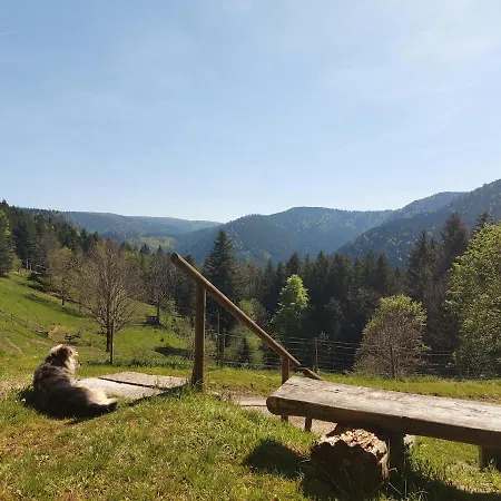 Rez-de-chaussee Dans Vielle Ferme Au Coeur Des Vosges Apartmán Plainfaing