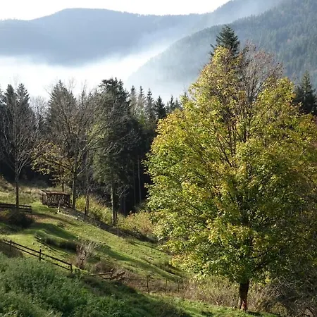 Rez-de-chaussee Dans Vielle Ferme Au Coeur Des Vosges Apartment *