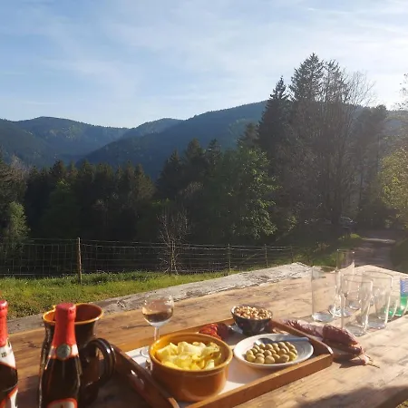 Rez-de-chaussee Dans Vielle Ferme Au Coeur Des Vosges * Plainfaing