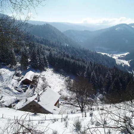 Rez-de-chaussee Dans Vielle Ferme Au Coeur Des Vosges