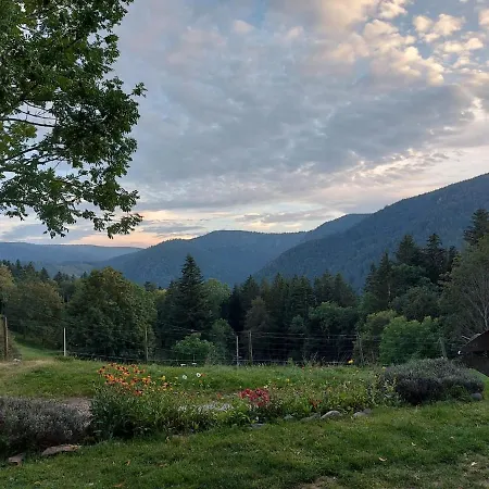 Rez-de-chaussee Dans Vielle Ferme Au Coeur Des Vosges * Plainfaing
