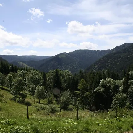 Rez-de-chaussée Dans Vielle Ferme Au Coeur Des Vosges Apartamento
