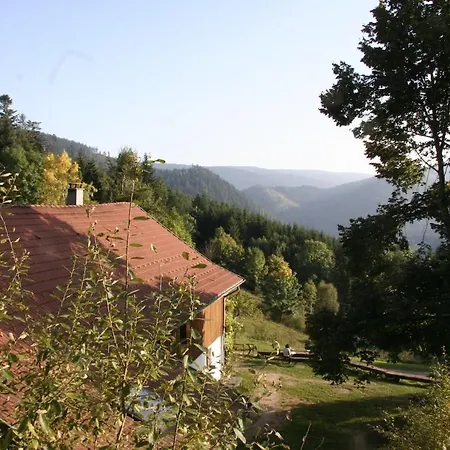 Rez-de-chaussee Dans Vielle Ferme Au Coeur Des Vosges Apartment *