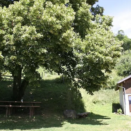 Lejlighed Rez-de-chaussee Dans Vielle Ferme Au Coeur Des Vosges *