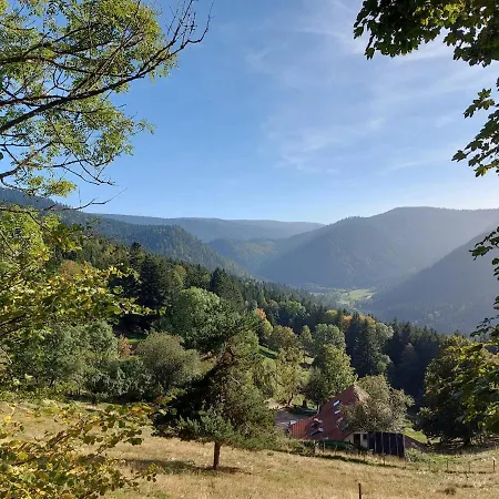 Rez-de-chaussee Dans Vielle Ferme Au Coeur Des Vosges Apartment Plainfaing