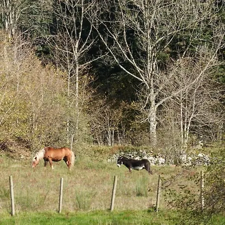Rez-de-chaussee Dans Vielle Ferme Au Coeur Des Vosges Plainfaing