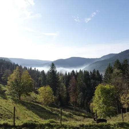 Rez-de-chaussee Dans Vielle Ferme Au Coeur Des Vosges