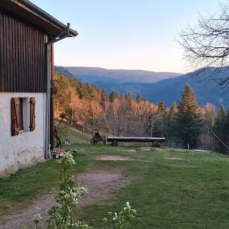 Rez-de-chaussee Dans Vielle Ferme Au Coeur Des Vosges * Plainfaing