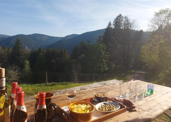 Rez-de-chaussee Dans Vielle Ferme Au Coeur Des Vosges * 普兰凡